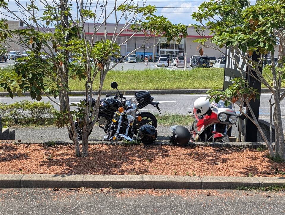 SV650X　スタバ
